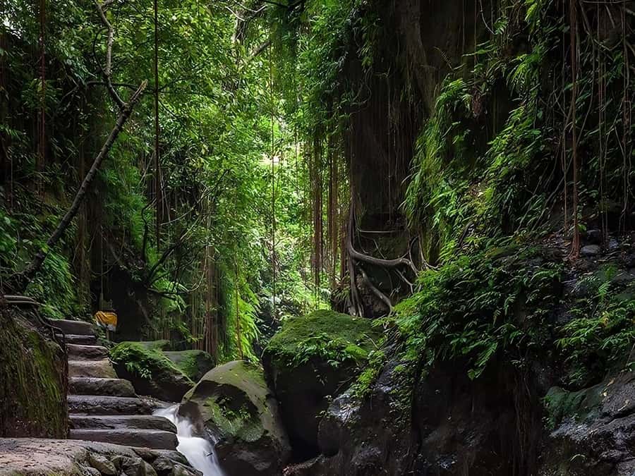 Ubud: Rice Terrace, Monkey Forest, Temple, & Waterfall - Pickup and transportation: why it changes your whole day