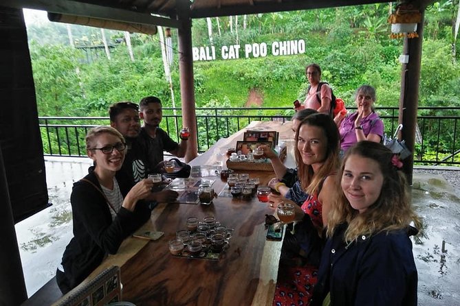 Ubud Sightseeing Private Tour - Instagramable Spot and More - Stop 1: Tegenungan Waterfall for Clear Views and Fast Photo Wins