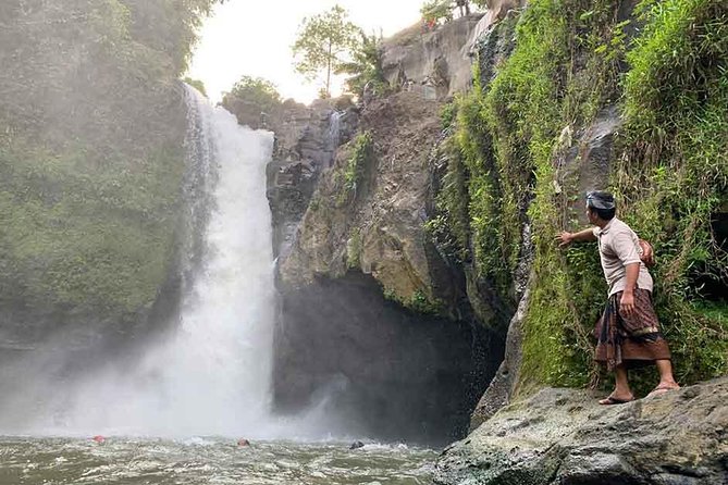 Ubud Sightseeing Private Tour - Instagramable Spot and More - The 8:00 AM Start and How to Think About the Timing