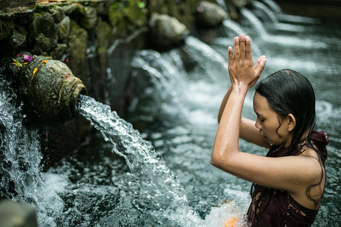 Ubud Small Group Tour: Monkey Forest, Tegalalang Rice Terraces and more - A one-day Ubud circuit you can actually handle