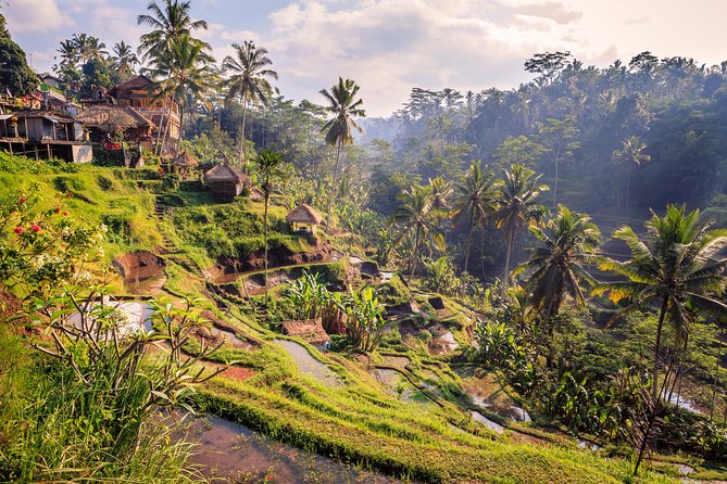 Ubud Small Group Tour: Monkey Forest, Tegalalang Rice Terraces and more - Ubud Traditional Art Market: timing the lunch and craft browsing