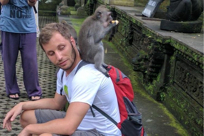 Ubud Small Group Tour: Monkey Forest, Tegalalang Rice Terraces and more - Guides, small groups, and the difference between going and understanding