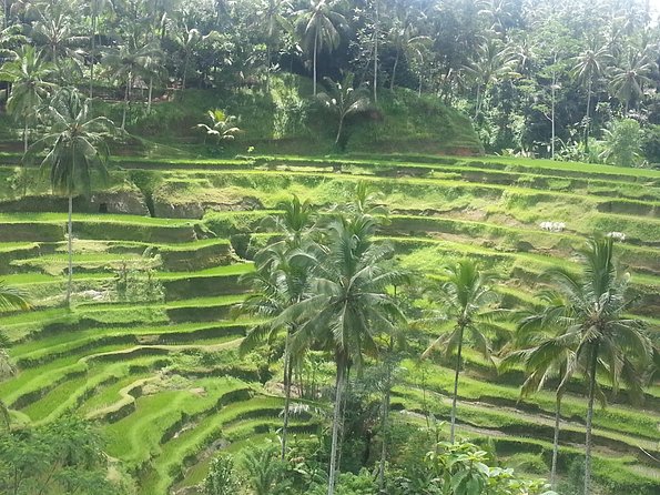 Ubud Tegalalang Rice Teracce & Tanah Lot Tour - Legong Fine Art of Batik: A Short Stop That Sets Context