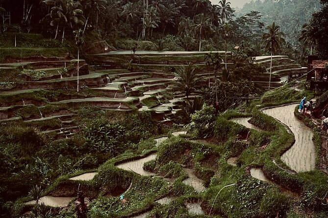 Ubud Top Tours to Discover Bali’s Cultural and Natural Wonders - Pickup from Seminyak (and why it’s the smart starting point)