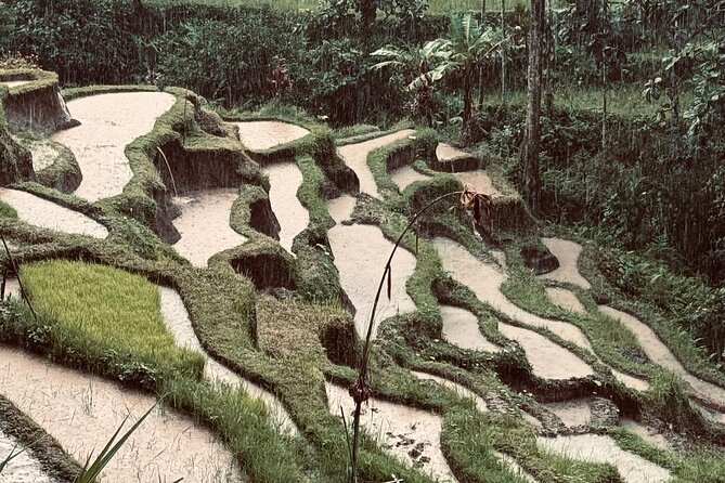Ubud Top Tours to Discover Bali’s Cultural and Natural Wonders - Ulu Petanu Waterfall: cooling off in the jungle