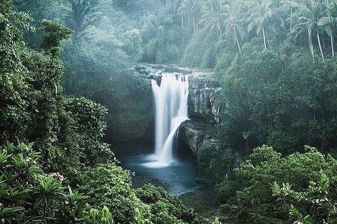 Ubud Top Tours to Discover Bali’s Cultural and Natural Wonders - Pakudui Tegalalang Rice Terraces: a working system, not just a view