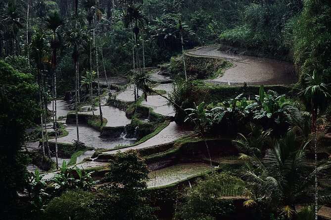 Ubud Top Tours to Discover Bali’s Cultural and Natural Wonders - Timing and pacing for an 8–10 hour day
