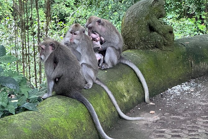 Ubud Top Tours to Discover Bali’s Cultural and Natural Wonders - What makes Yasana’s traditional gold & silver stop special