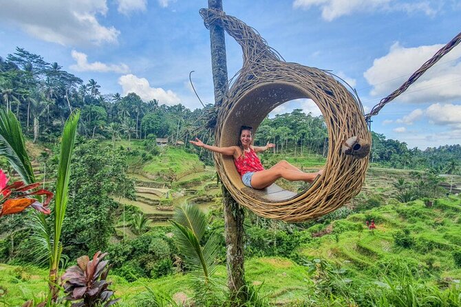 Ubud Tour: Monkey forest, rice terraces, temple, waterfall - Tegalalang Rice Terrace: Small Trek, Rice Farming Basics, and Irrigation Stories