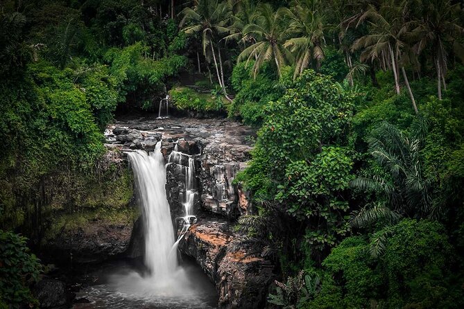 Ubud Tour: Monkey forest, rice terraces, temple, waterfall - Practical Notes Before You Go (So the Day Feels Easy)