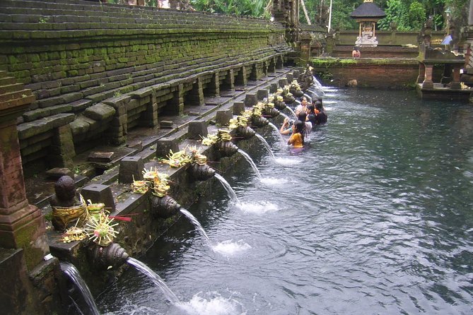 Ubud Tour - Ubud Highlight - Private Tour All inclusive - Stop 3: Tegalalang Rice Terrace, views plus a little optional fun
