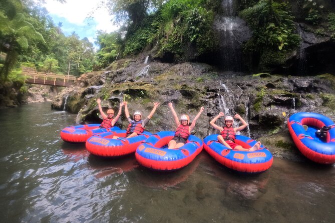 Ubud Tubing Adventure Holy Spring Temple Private Guided Tour - Price and Value: Why $58.34 Can Make Sense