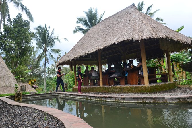 Ubud Village Sightseeing, Famous Paddy Field And Ubud Waterfall - Stop 4: Tirta Empul Holy Spring Water Temple and purification ritual context