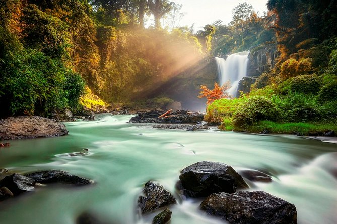 Ubud Village Sightseeing, Famous Paddy Field And Ubud Waterfall - Stop 1: Ubud Traditional Art Market and Ubud Palace