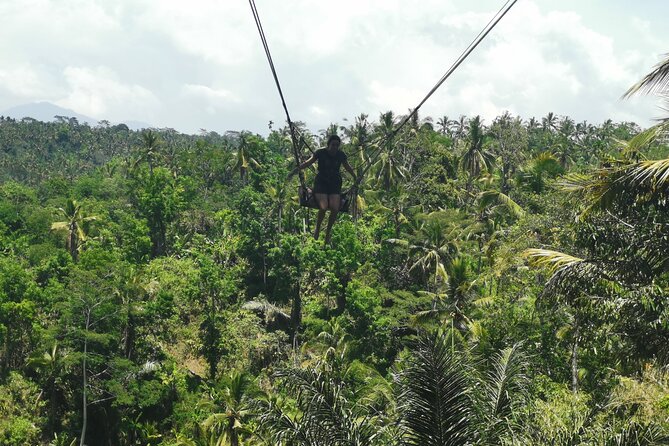 Ubud Village, Tegalalang Rice Terrace Swing, Tirta Empul Temple and Waterfafall - A smart, full-day route for first-time Ubud visitors