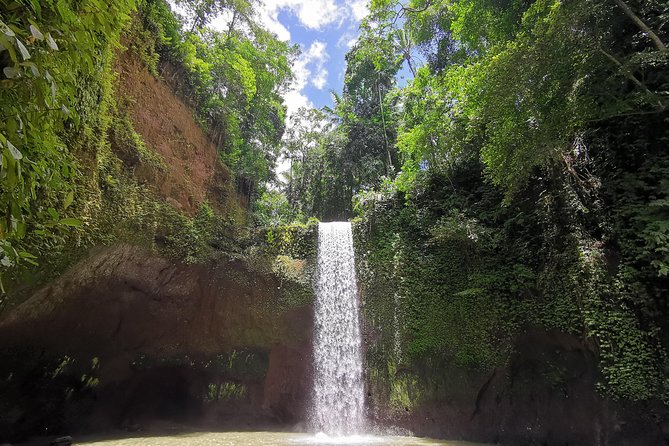 Ubud Village, Tegalalang Rice Terrace Swing, Tirta Empul Temple and Waterfafall - Campuhan Ridge Walk: Ubud’s river-junction meaning in plain sight