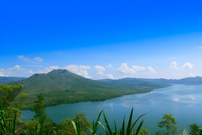 Ubud Village, Waterfall and Kintamani Volcano Tour - Lunch With Mt. Batur Views and Coffee Tasting That’s More Fun Than It Sounds