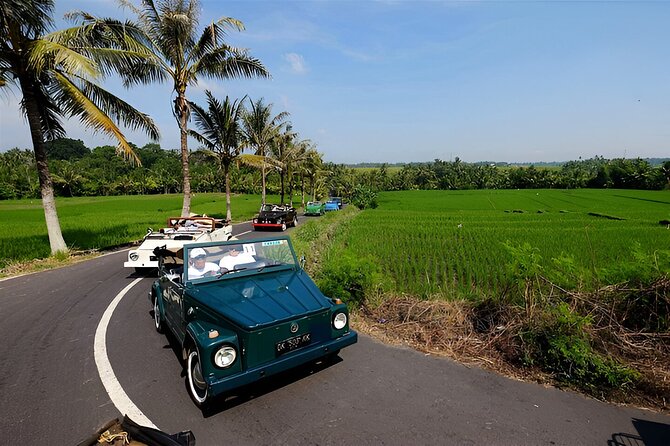Ubud VW Safari Bali Tour - Volkswagen Classic Car Trip - Why a VW Safari convertible is the right way to see Ubud