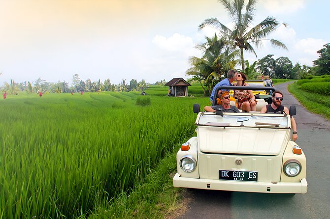 Ubud VW Safari Bali Tour - Volkswagen Classic Car Trip - Stop 4: Sacred Monkey Forest Sanctuary for the fun, rules, and reality