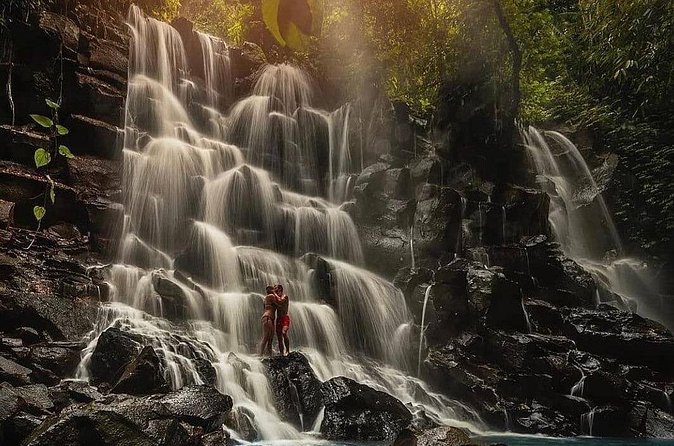 Ubud Waterfall Experience - Tegalalang Rice Terrace: A Quick Pass and Timing for the Jungle Swing
