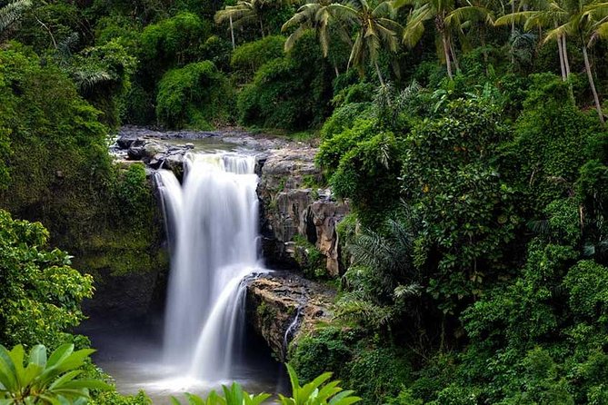 Ubud Waterfall Tour - First stop: Tegenungan Waterfall and what to expect on the ground