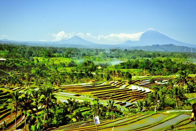 UNESCO Jatiluwih Rice Terrace and Tanah Lot Sunset Tour - The “extra” stops you’ll pass: fruit market and waterspring