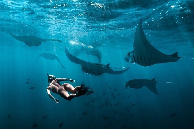 VIP Private Boat to Nusa Penida: Snorkeling with Mantas + Land Tour Adventure - Private, Multi-Stop Value: Why the Price Can Actually Make Sense