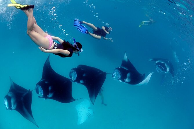 VIP Private Boat to Nusa Penida: Snorkeling with Mantas + Land Tour Adventure - Who This Tour Fits Best (And Who Might Want a Different Plan)