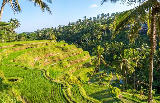 Water Rafting adventure with Jungle Swing & rice terraces - Key Highlights You’ll Actually Care About