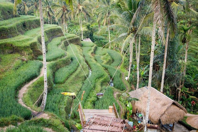 Water Rafting adventure with Jungle Swing & rice terraces - Ayung River Rapids, Rice Terrace Stops, and Happy Swing