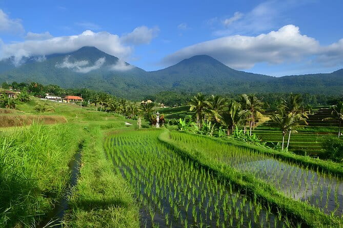 Waterfall Tour: North Bali Best Waterfalls - Lunch at Wanagiri Coffee: Lake views while you refuel