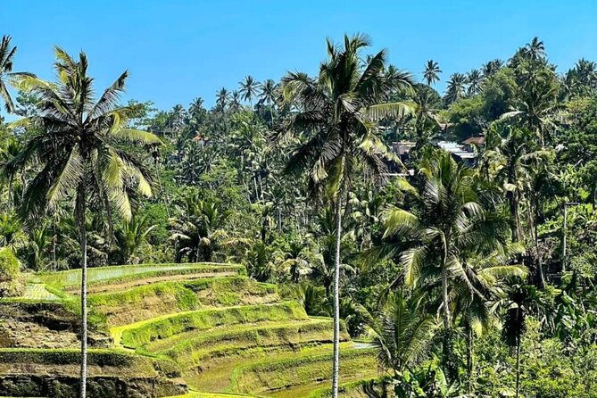 Welcome Pickups Bali Transfer - Booking With Confidence: What to Watch For