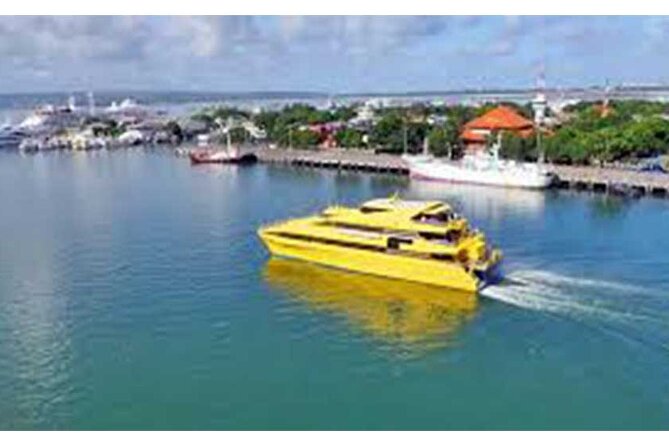 West Nusa Penida Full-Day Private Tour - Who This Private Tour Fits Best