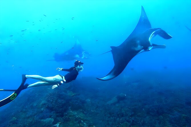 West Nusa Penida Island Snorkeling Tour - From Bali Island - Key Things You’ll Notice on This Tour