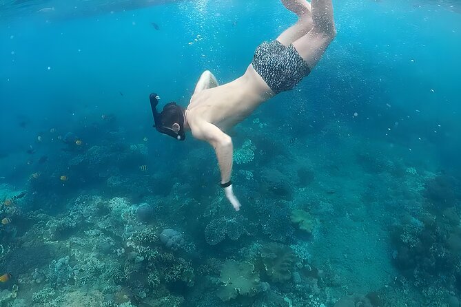 West Nusa Penida Island Snorkeling Tour - From Bali Island - The 6:30 AM Start and Why It Matters
