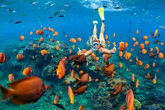 West Nusa Penida Island Snorkeling Tour - From Bali Island - Snorkeling Stops: Gamat Bay, Manta Bay, and Crystal Bay