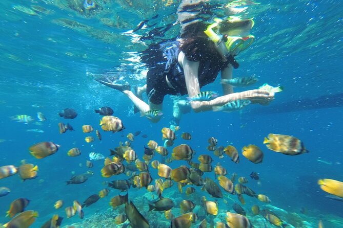 West Nusa Penida With Snorkeling Private Guided Tour - Key highlights to watch for