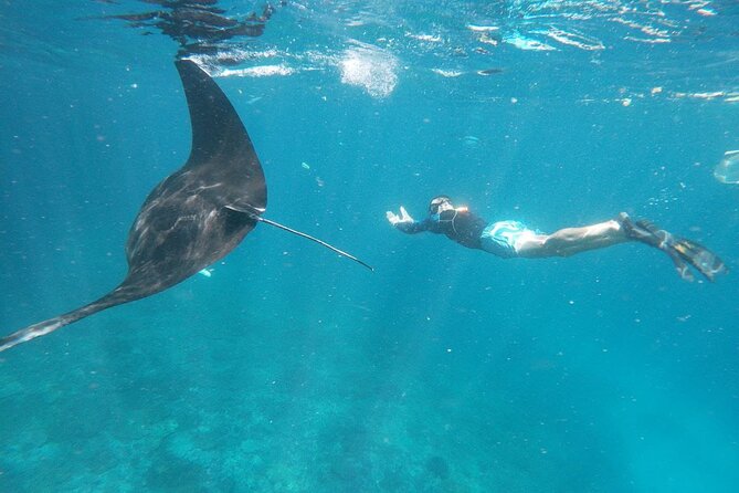 West Nusa Penida With Snorkeling Private Guided Tour - From Seminyak to West Nusa Penida: how the day is built