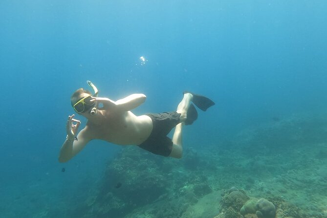 West Nusa Penida With Snorkeling Private Guided Tour - Price and value: what $86.67 is really buying you