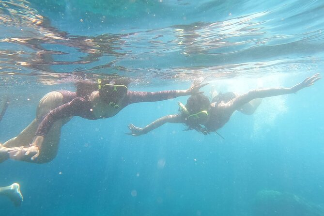West Nusa Penida With Snorkeling Private Guided Tour - Common snags to plan for: crowds, short mantas time, and communication issues